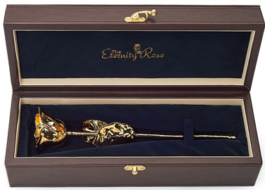 the eternity rose