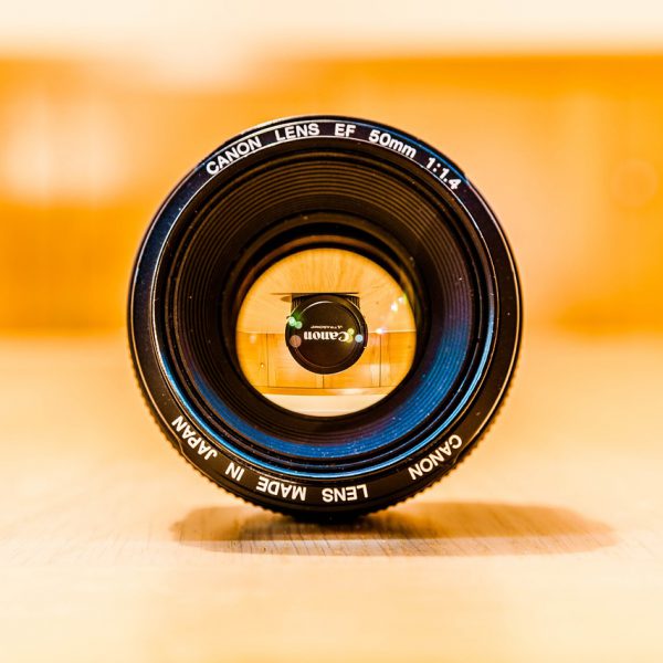 Best Macro Photography Tips